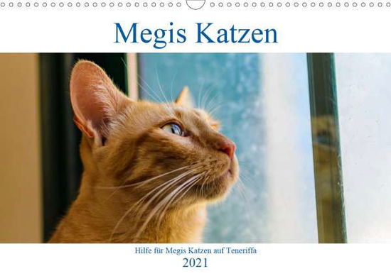 Cover for Kovac · Megis Katzen (Wandkalender 2021 D (Book)