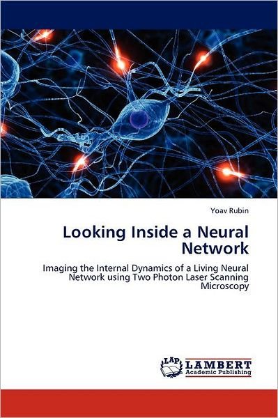 Cover for Yoav Rubin · Looking Inside a Neural Network: Imaging the Internal Dynamics of a Living Neural Network Using Two Photon Laser Scanning Microscopy (Paperback Book) (2012)