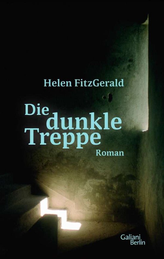 Cover for FitzGerald · Die dunkle Treppe (Book)