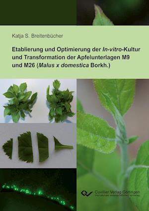 Cover for Katja Breitenbücher · Etablierung und Optimierung der In-vitro-Kultur und Transformation der Apfelunterlagen M9 und M26 (Malus x domestica Borkh.) (Paperback Book) (2013)