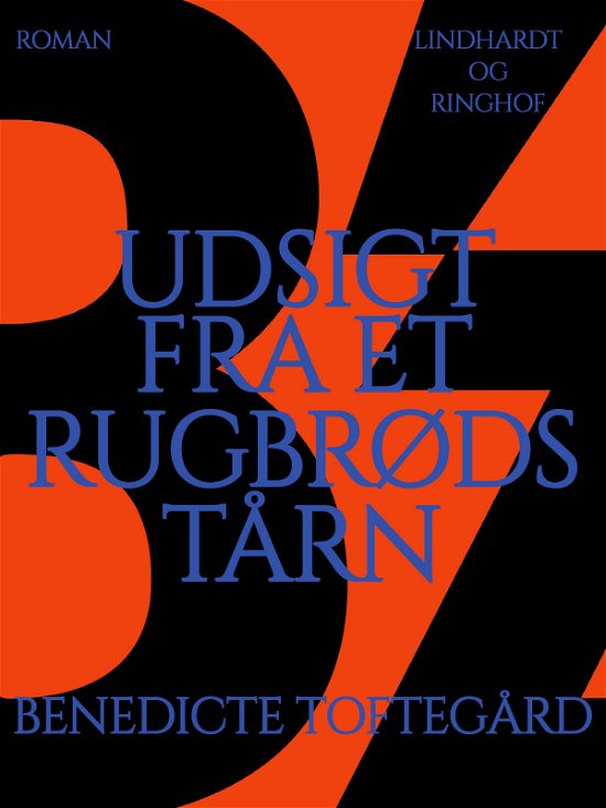 Cover for Benedicte Toftegård · Udsigt fra et rugbrødstårn (Sewn Spine Book) [1er édition] (2017)