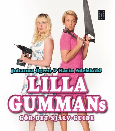 Cover for Johanna Ögren · Lilla gummans gör-det-själv-guide (Indbundet Bog) (2011)