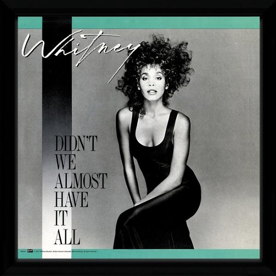 Cover for Whitney Houston · Whitney Houston: Didn'T We Almost Have It All (Lp In Cornice) (MERCH)