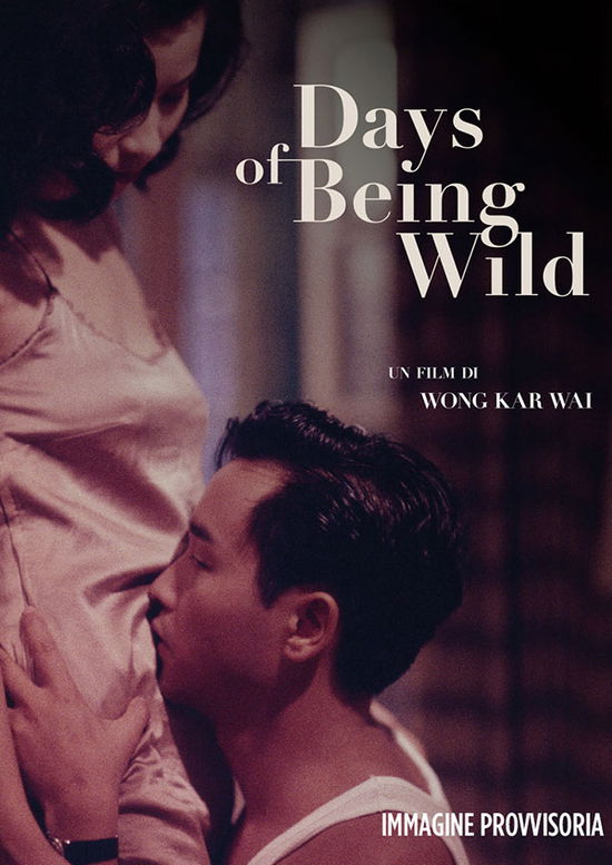 Cover for Days of Being Wild (DVD) (2023)