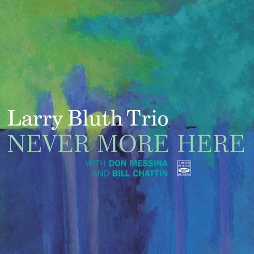 Cover for Larry Trio Bluth · Never More Here (CD) (2022)