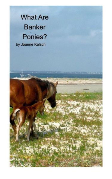 What Are Banker Ponies? - Joanne Kalsch - Książki - Blurb - 9781364249687 - 11 marca 2016