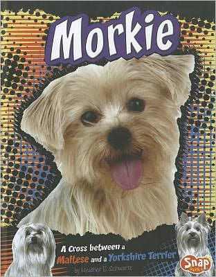 Cover for Heather E. Schwartz · Morkie: a Cross Between a Maltese and a Yorkshire Terrier (Designer Dogs) (Hardcover Book) (2012)