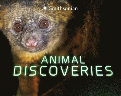 Cover for Tamra B. Orr · Animal Discoveries - Marvellous Discoveries (Hardcover Book) (2018)