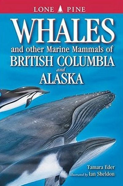 Cover for Tamara Eder · Whales and Other Marine Mammals of British Columbia and Alaska (Pocketbok) (2001)