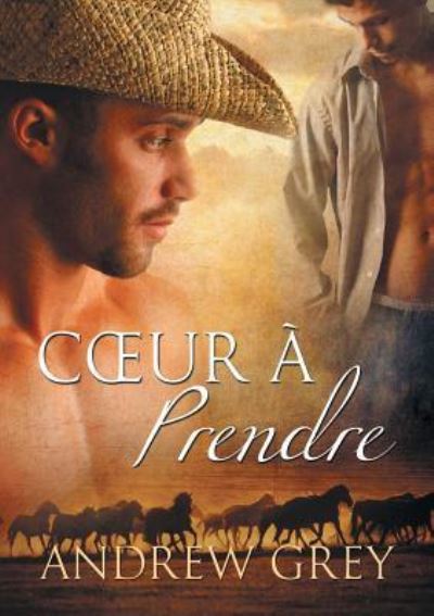 Cover for Andrew Grey · Coeur a Prendre (Translation) - Histoires de Coeur (Paperback Book) (2015)