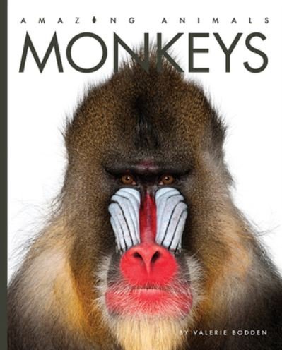Cover for Valerie Bodden · Amazing Animals: Monkeys (Pocketbok) (2020)