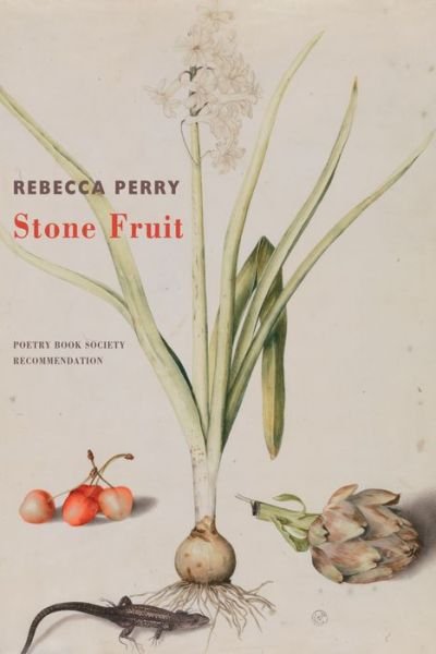 Cover for Rebecca Perry · Stone Fruit (Taschenbuch) (2021)