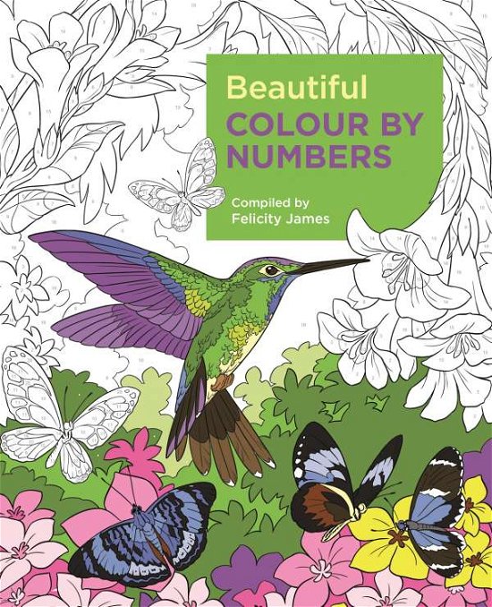 Beautiful Colour by Numbers - Arcturus Colour by Numbers Collection - Felicity James - Livros - Arcturus Publishing Ltd - 9781788887687 - 15 de maio de 2019