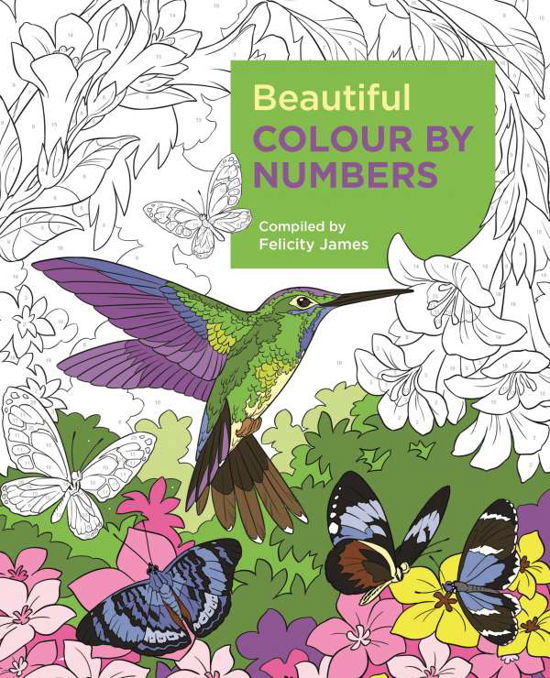 Beautiful Colour by Numbers - Arcturus Colour by Numbers Collection - Felicity James - Bøker - Arcturus Publishing Ltd - 9781788887687 - 15. mai 2019