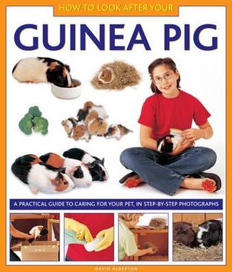 Cover for David Alderton · How to Look After Your Guinea Pig (Inbunden Bok) (2012)