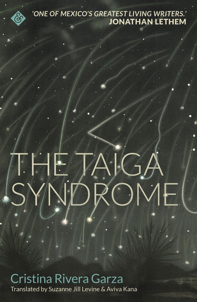 Cover for Cristina Rivera Garza · The Taiga Syndrome: Winner of the 2019 Shirley Jackson Award (Paperback Book) (2019)