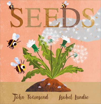 Cover for John Townsend · Seeds - Scribblers Board Book (Board book) [Illustrated edition] (2022)