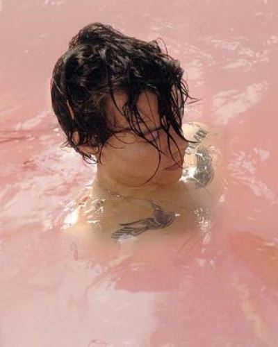 Cover for Darrell Butters · Harry Styles Diary (Paperback Book) (2017)