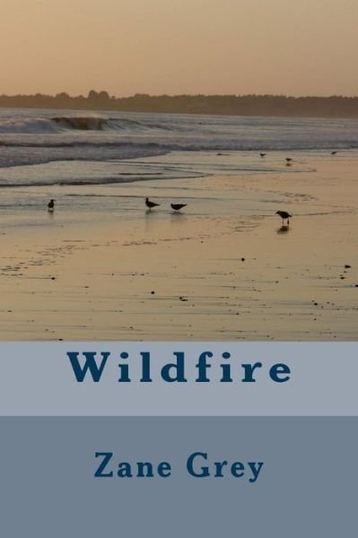 Wildfire - Zane Grey - Books - Createspace Independent Publishing Platf - 9781986762687 - April 1, 2018