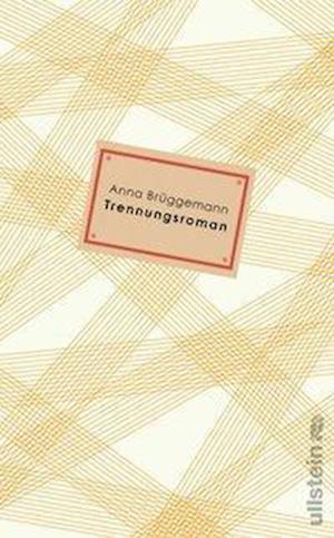 Cover for Brüggemann · Trennungsroman (N/A)