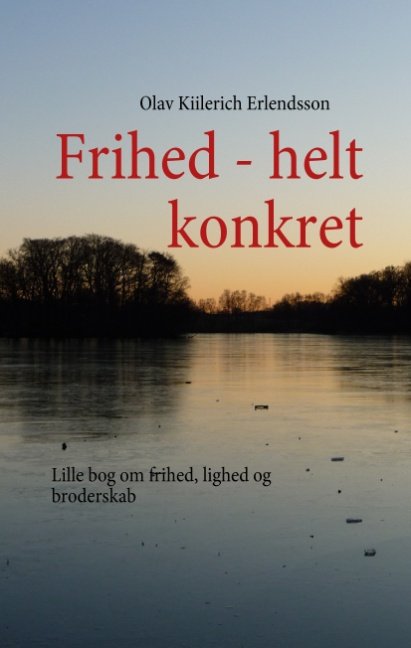 Frihed - helt konkret - Olav Kiilerich Erlendsson - Bøger - Books on Demand - 9788776913687 - 16. februar 2009