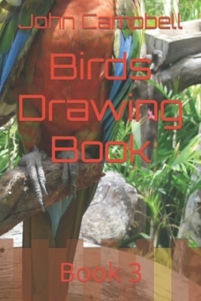 Cover for John Campbell · Birds Drawing Book: Book 3 (Paperback Bog) (2022)