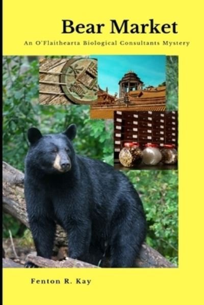 Cover for Fenton R Kay · Bear Market (Paperback Bog) (2020)