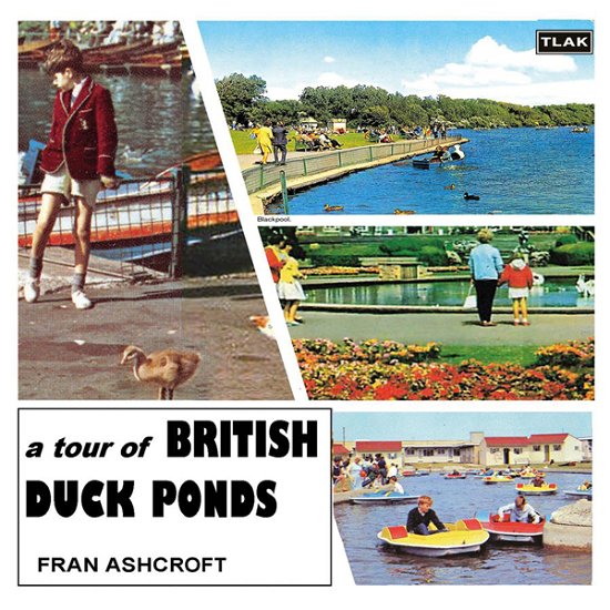 Fran Ashcroft · A Tour Of British Duck Ponds (CD) (2023)