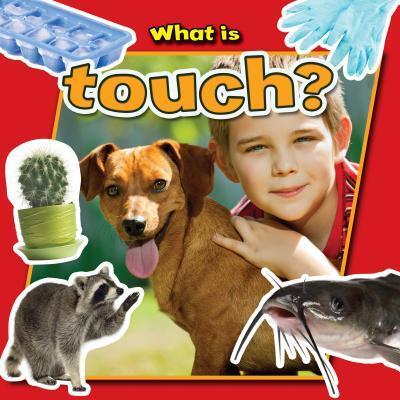 Cover for Molly Aloian · What Is Touch? (Hardcover Book) (2013)