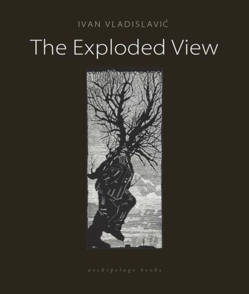 Cover for Ivan Vladislavic · The Exploded View (Paperback Book) (2017)