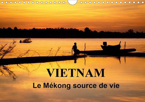 Cover for Denis · Vietnam Le Mékong source de vie ( (Bok)