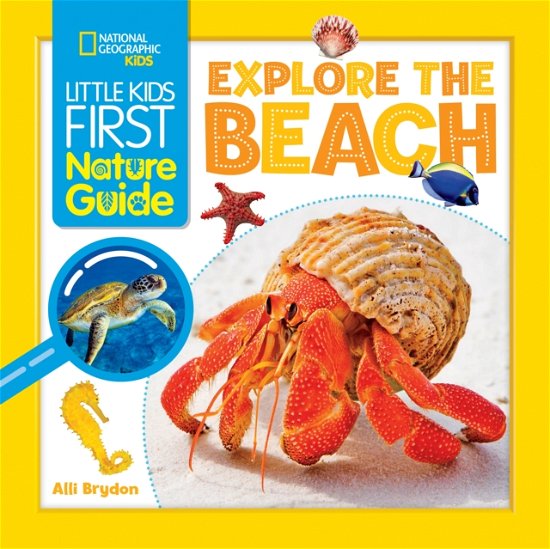 Cover for Alli Brydon · Explore the Beach - Little Kids First Nature Guide (Paperback Book) (2023)