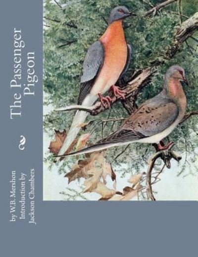 Cover for W B Mershon · The Passenger Pigeon (Paperback Book) (2017)