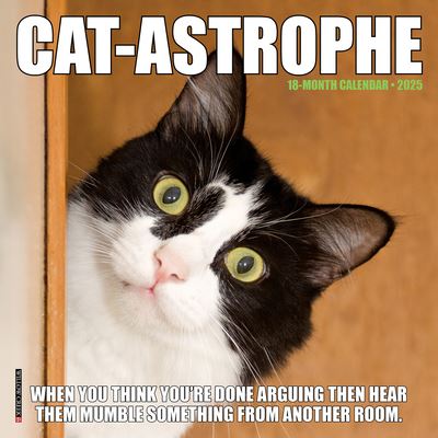 Willow Creek Press · Cat-Astrophe 2025 7 X 7 Mini Wall Calendar (Kalender) (2024)