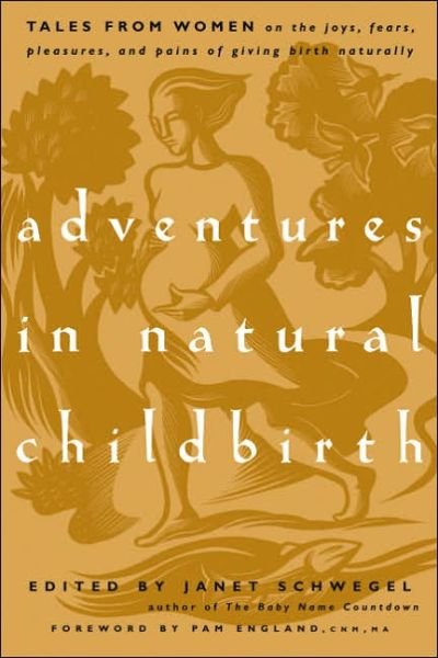 Cover for Janet Schwegel · Adventures in Natural Childbirth: Tales from Women on the Joys, Fears, Pleasures, and Pains of Giving Birth Naturally (Paperback Book) (2005)
