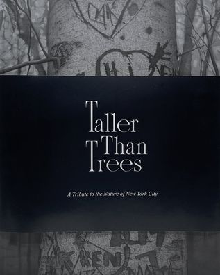 Cover for Mary Reilly · Taller Than Trees (Hardcover Book) (2022)