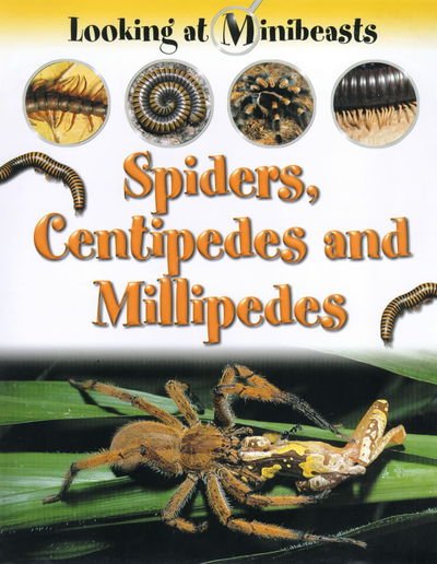 Cover for Morgan · Minibeasts Spiders Centipedes (N/A) (2000)