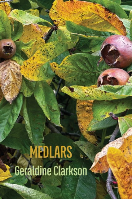 Cover for Geraldine Clarkson · Medlars (Paperback Book) (2023)