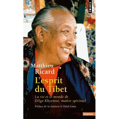 Cover for Matthieu Ricard · Esprit Du Tibet. La Vie et Le Monde De Dilgo Khyents', Ma+tre Spirituel (L') (Paperback Book) (2001)