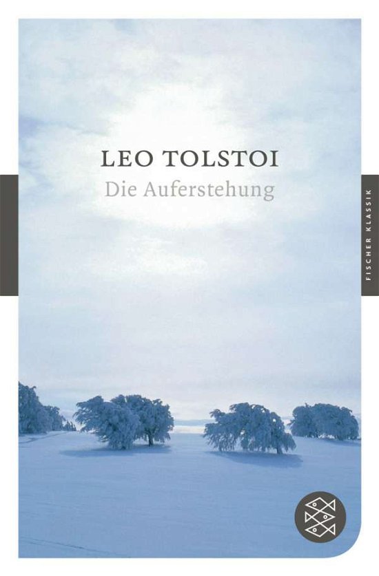 Cover for Leo N. Tolstoi · Fischer TB.90068 Tolstoi.Auferstehung (Book)