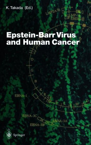 Cover for K Takada · Epstein-Barr Virus and Human Cancer - Current Topics in Microbiology and Immunology (Paperback Book) [Softcover reprint of the original 1st ed. 2001 edition] (2012)