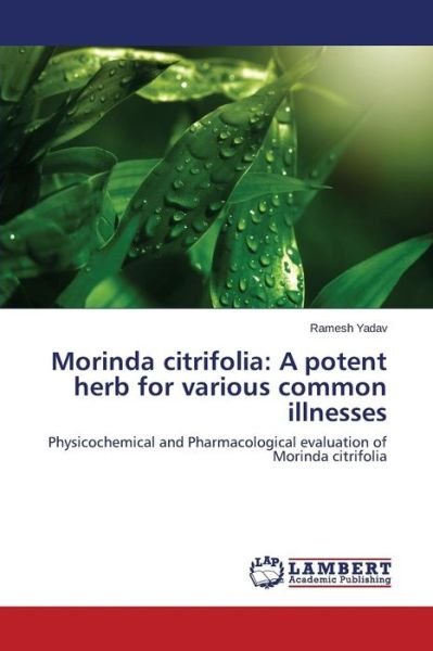 Cover for Yadav Ramesh · Morinda Citrifolia: a Potent Herb for Various Common Illnesses (Paperback Book) (2015)