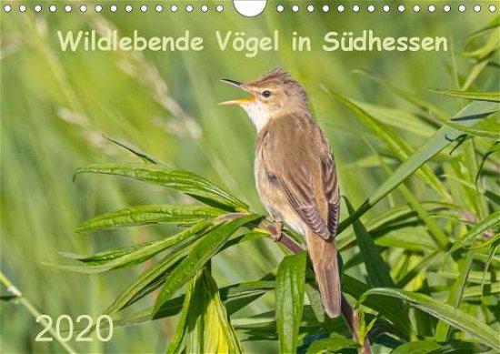 Cover for Buß · Wildlebende Vögel in Südhessen (Wan (Bog)