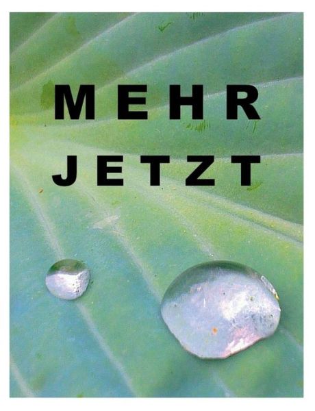 Cover for Tom De Toys · De Toys:Mehr jetzt (Book) [German edition] (2014)