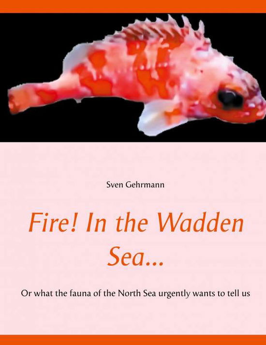 Cover for Gehrmann · Fire! In the Wadden Sea... (Bok)