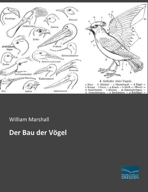 Cover for Marshall · Der Bau der Vögel (Book)