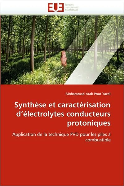 Cover for Mohammad Arab Pour Yazdi · Synthèse et Caractérisation D'électrolytes Conducteurs Protoniques: Application De La Technique Pvd Pour Les Piles À Combustible (Paperback Book) [French edition] (2018)