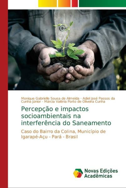 Cover for Almeida · Percepção e impactos socioambie (Buch) (2018)