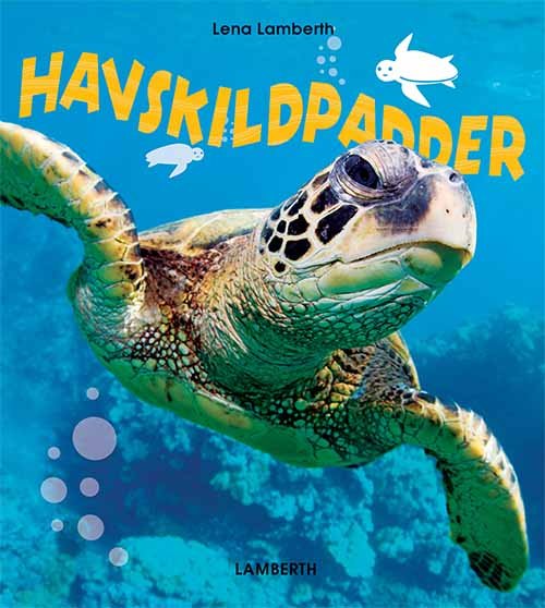 Cover for Lena Lamberth · Havskildpadder (Indbundet Bog) [1. udgave] (2018)