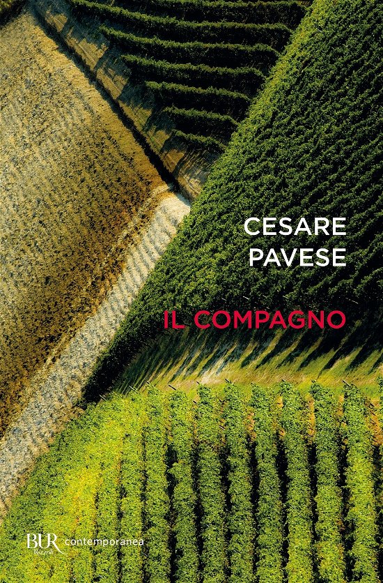 Cover for Cesare Pavese · Il Compagno (Bog)